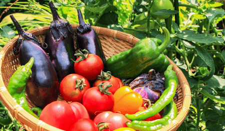 野菜、果物、乾物など食品卸売業が専門