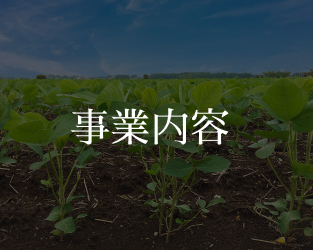 事業内容